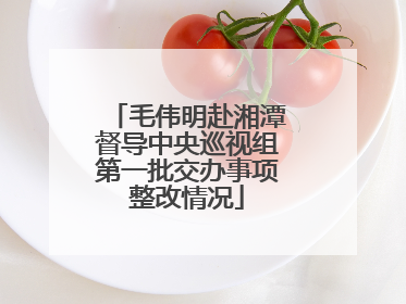 毛伟明赴湘潭督导中央巡视组第一批交办事项整改情况