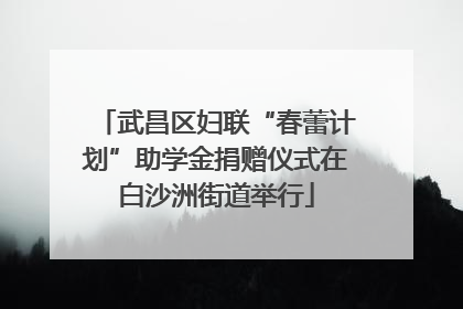 武昌区妇联“春蕾计划”助学金捐赠仪式在白沙洲街道举行