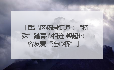 武昌区杨园街道：“特殊”踏青心相连 架起包容友爱“连心桥”