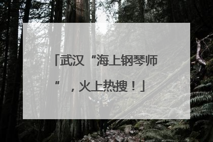 武汉“海上钢琴师”，火上热搜！
