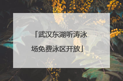 武汉东湖听涛泳场免费泳区开放