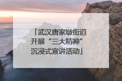 武汉唐家墩街道开展“三大精神”沉浸式宣讲活动