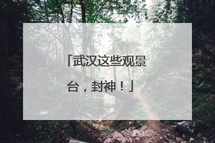 武汉这些观景台，封神！
