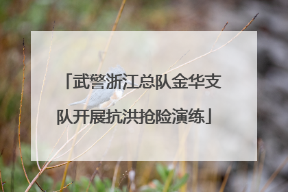 武警浙江总队金华支队开展抗洪抢险演练