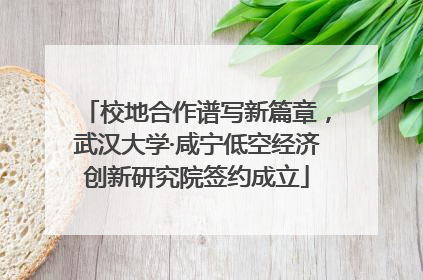 校地合作谱写新篇章，武汉大学·咸宁低空经济创新研究院签约成立