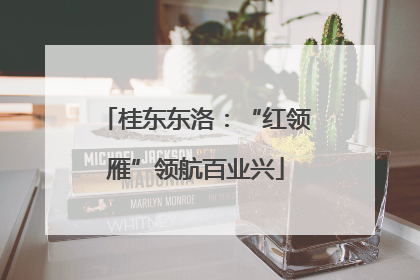 桂东东洛：“红领雁”领航百业兴