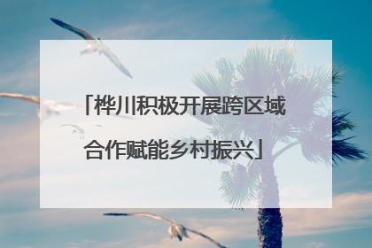 桦川积极开展跨区域合作赋能乡村振兴