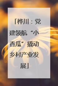 桦川：党建领航“小香瓜”撬动乡村产业发展