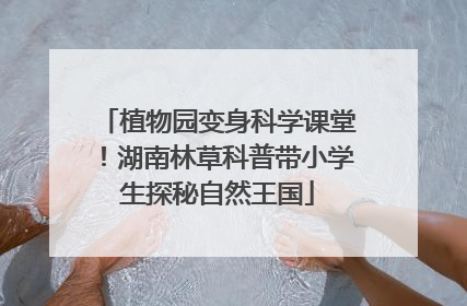 植物园变身科学课堂！湖南林草科普带小学生探秘自然王国