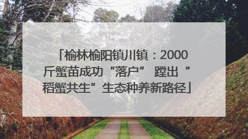 榆林榆阳镇川镇:2000斤蟹苗成功“落户” 蹚出“稻蟹共生”生态种养新路径