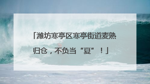 潍坊寒亭区寒亭街道麦熟归仓，不负当“夏”！