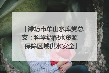 潍坊市牟山水库党总支：科学调配水资源 保障区域供水安全