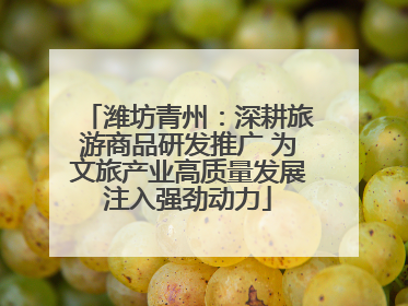 潍坊青州：深耕旅游商品研发推广 为文旅产业高质量发展注入强劲动力