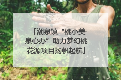 潮泉镇“桃小美·泉心办”助力梦幻桃花源项目扬帆起航
