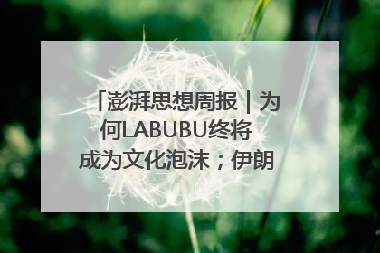 澎湃思想周报｜为何LABUBU终将成为文化泡沫；伊朗的抵抗大战略