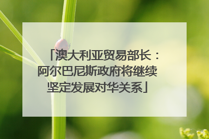 澳大利亚贸易部长：阿尔巴尼斯政府将继续坚定发展对华关系