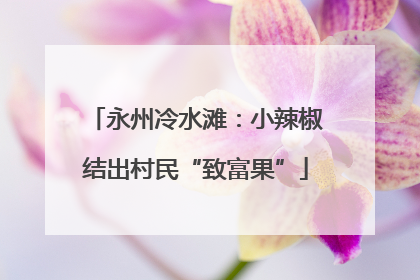 永州冷水滩：小辣椒结出村民“致富果”
