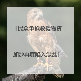 民众争抢救援物资 加沙再度陷入混乱