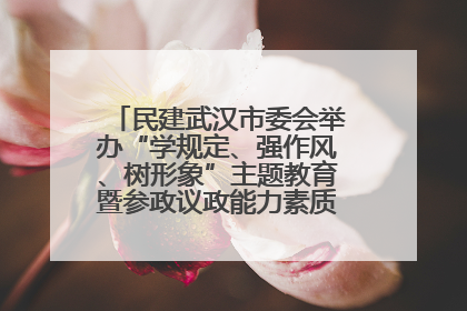 民建武汉市委会举办“学规定、强作风、树形象”主题教育暨参政议政能力素质提升培训班