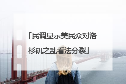 民调显示美民众对洛杉矶之乱看法分裂