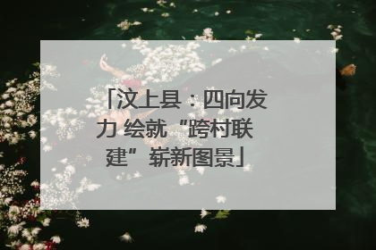 汶上县：四向发力 绘就“跨村联建”崭新图景