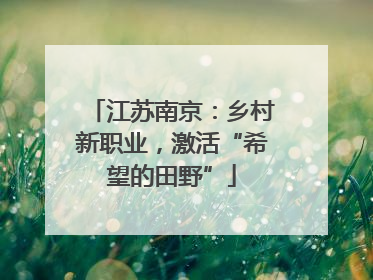 江苏南京：乡村新职业，激活“希望的田野”