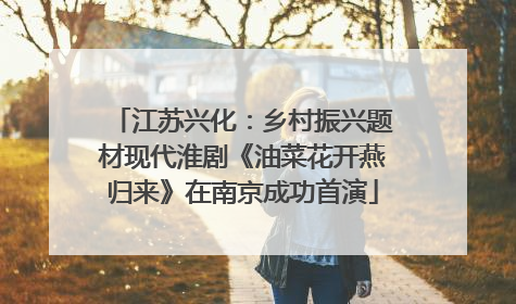 江苏兴化：乡村振兴题材现代淮剧《油菜花开燕归来》在南京成功首演