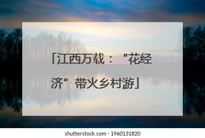 江西万载：“花经济”带火乡村游