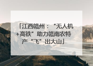江西赣州：“无人机+高铁”助力赣南农特产“飞”出大山
