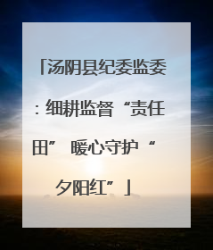 汤阴县纪委监委：细耕监督“责任田” 暖心守护“夕阳红”