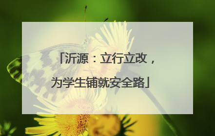 沂源：立行立改，为学生铺就安全路