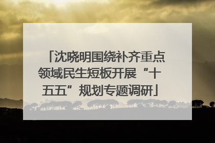沈晓明围绕补齐重点领域民生短板开展“十五五”规划专题调研