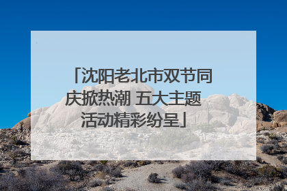 沈阳老北市双节同庆掀热潮 五大主题活动精彩纷呈