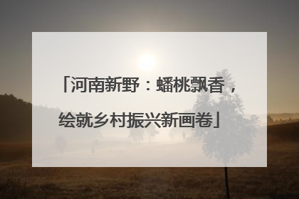 河南新野：蟠桃飘香，绘就乡村振兴新画卷