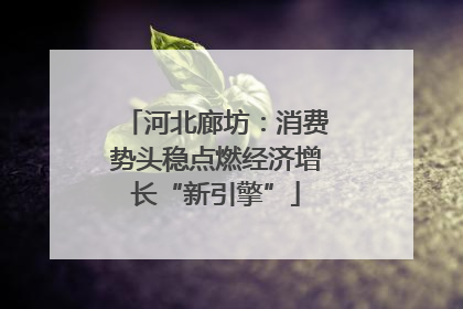 河北廊坊：消费势头稳点燃经济增长“新引擎”