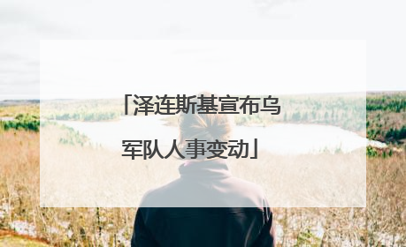 泽连斯基宣布乌军队人事变动