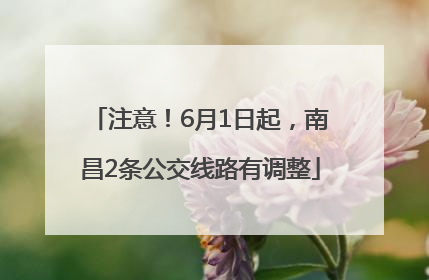 注意！6月1日起，南昌2条公交线路有调整