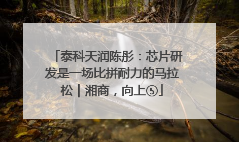 泰科天润陈彤：芯片研发是一场比拼耐力的马拉松｜湘商，向上⑤