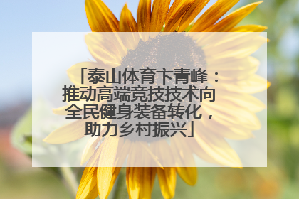 泰山体育卞青峰：推动高端竞技技术向全民健身装备转化，助力乡村振兴