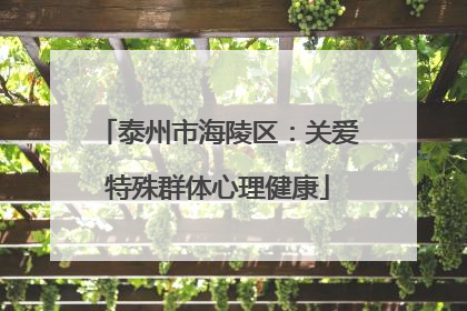 泰州市海陵区：关爱特殊群体心理健康