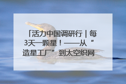 活力中国调研行｜每3天一颗星！——从“造星工厂”到太空织网的“银河速度”