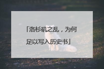 洛杉矶之乱，为何足以写入历史书