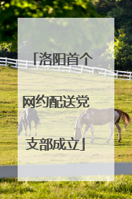 洛阳首个网约配送党支部成立