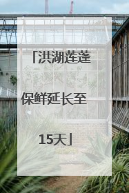 洪湖莲蓬保鲜延长至15天