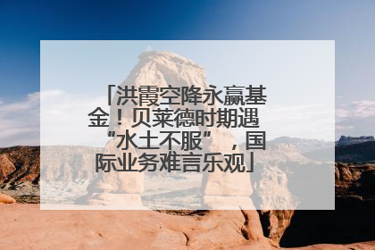 洪霞空降永赢基金！贝莱德时期遇“水土不服”，国际业务难言乐观