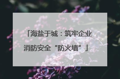 海盐于城：筑牢企业消防安全“防火墙”