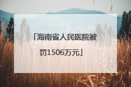 海南省人民医院被罚1506万元