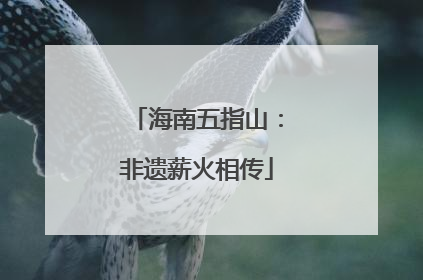 海南五指山：非遗薪火相传