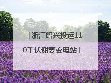 浙江绍兴投运110千伏谢慕变电站
