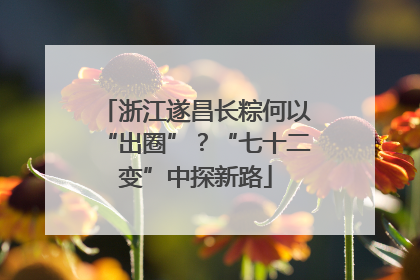 浙江遂昌长粽何以“出圈”？“七十二变”中探新路